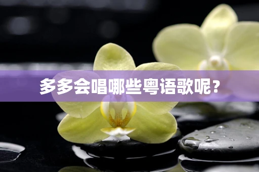 多多会唱哪些粤语歌呢？