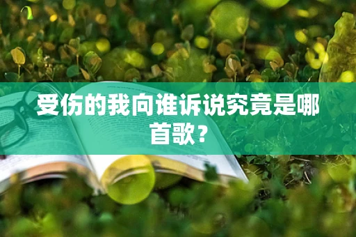 受伤的我向谁诉说究竟是哪首歌？