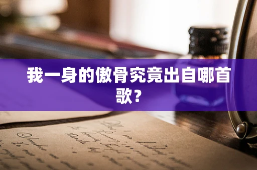 我一身的傲骨究竟出自哪首歌？