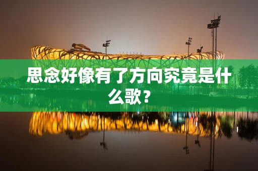 思念好像有了方向究竟是什么歌？