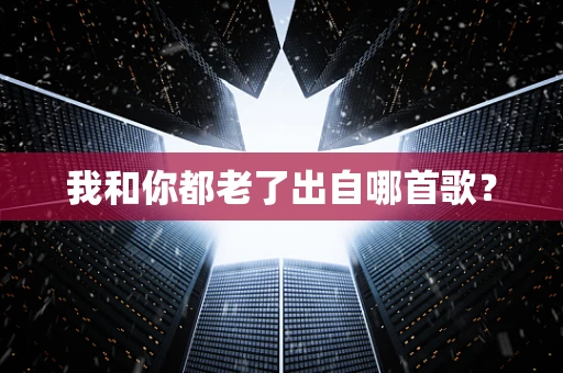 我和你都老了出自哪首歌？
