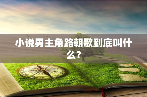 小说男主角路朝歌到底叫什么？