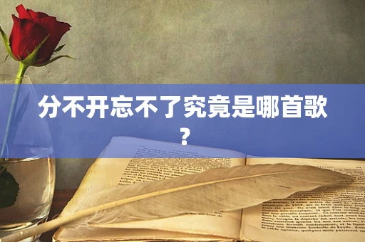 分不开忘不了究竟是哪首歌？