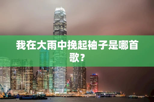 我在大雨中挽起袖子是哪首歌？