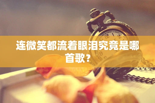 连微笑都流着眼泪究竟是哪首歌？