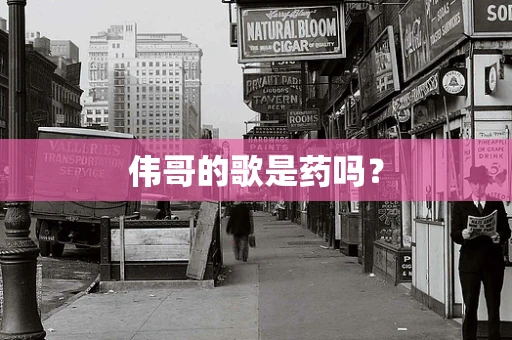 伟哥的歌是药吗？