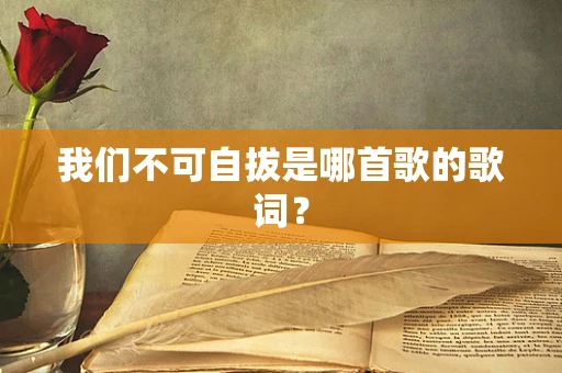 我们不可自拔是哪首歌的歌词？