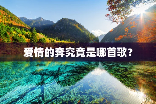 爱情的奔究竟是哪首歌？