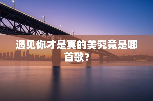 遇见你才是真的美究竟是哪首歌？