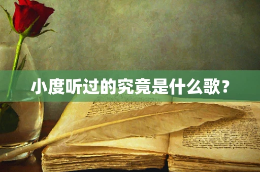 小度听过的究竟是什么歌？