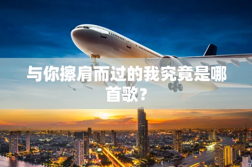 与你擦肩而过的我究竟是哪首歌？