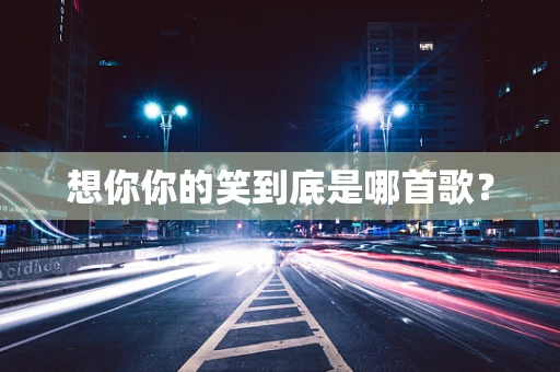 想你你的笑到底是哪首歌？