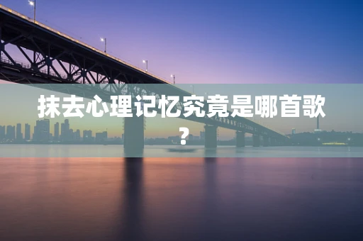 抹去心理记忆究竟是哪首歌？