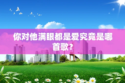 你对他满眼都是爱究竟是哪首歌？