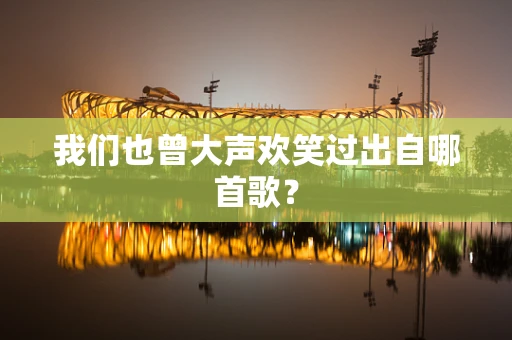 我们也曾大声欢笑过出自哪首歌？