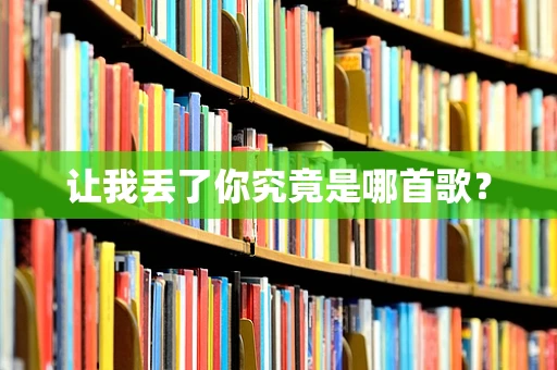 让我丢了你究竟是哪首歌？
