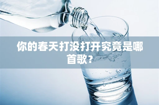 你的春天打没打开究竟是哪首歌？