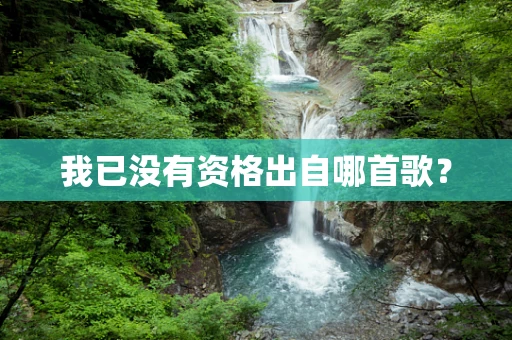 我已没有资格出自哪首歌？