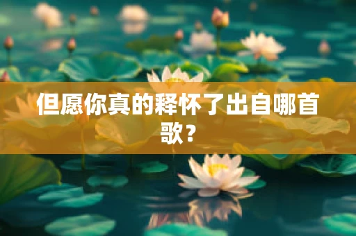 但愿你真的释怀了出自哪首歌？