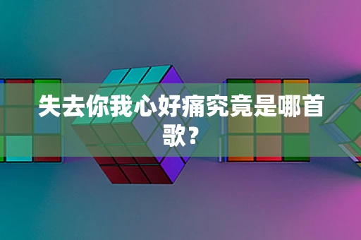 失去你我心好痛究竟是哪首歌？