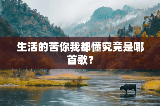 生活的苦你我都懂究竟是哪首歌？