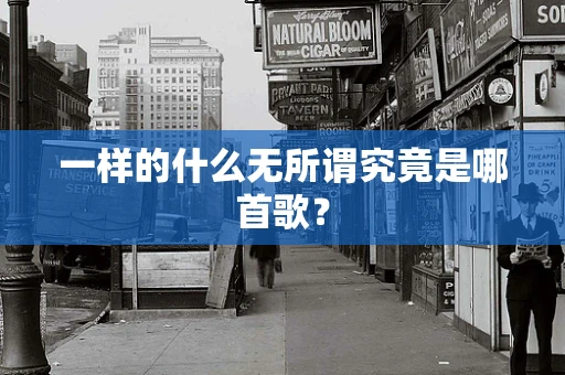 一样的什么无所谓究竟是哪首歌？