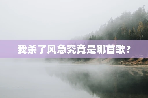 我杀了风急究竟是哪首歌？