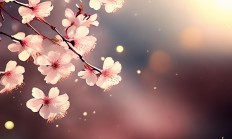 大眼樱桃嘴歌词出自哪首歌？