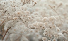 12星座结婚听什么歌才吉利？