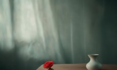 我是一个单身妞出自哪首歌？