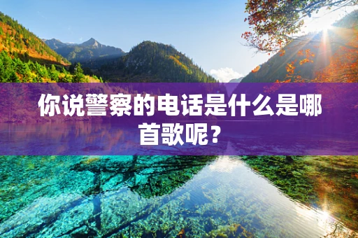 你说警察的电话是什么是哪首歌呢?