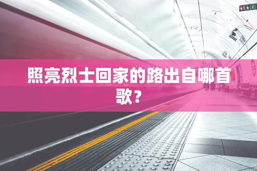 照亮烈士回家的路出自哪首歌？