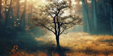 白天能懂夜的黑出自哪首歌？