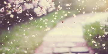 只因为爱情太深究竟是哪首歌？