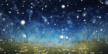 哪首歌里带有闪烁星星呢？