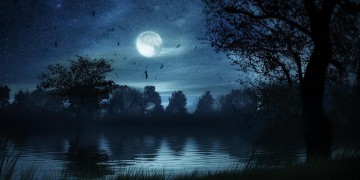 他望着夜色暮已深究竟是什么歌？