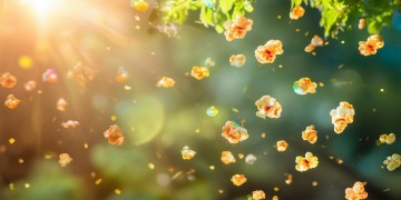 吴静怡太阳爆米花究竟是什么歌？