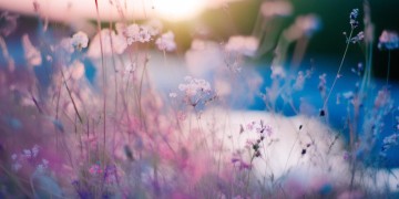 救救我的冲动究竟是哪首歌？