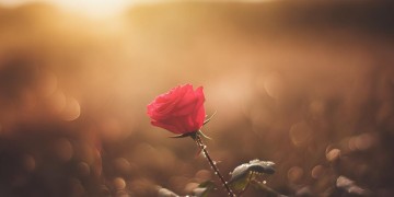 想你多久才能发疯出自哪首歌?