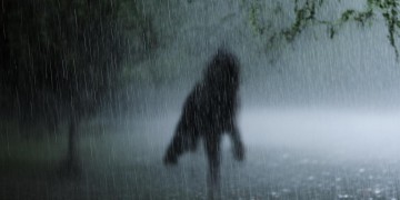 只身风雨中是哪首歌？
