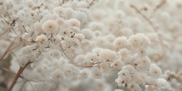 12星座结婚听什么歌才吉利？