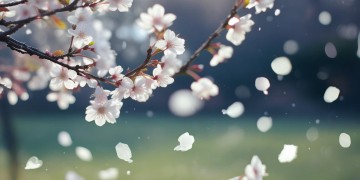 爱而不得算受伤吗究竟出自哪首歌？