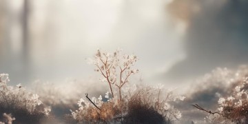 用琵琶做琴弦的歌究竟是哪首？