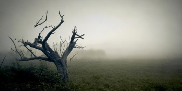 什么什么凄凉究竟是哪首歌？