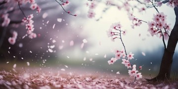 不知逝去终人散出自哪首歌?