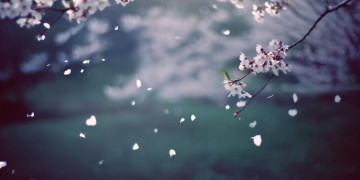 若他轻易放手这句歌词出自哪首歌?