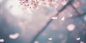 我也曾经流泪这句歌词出自哪首歌？