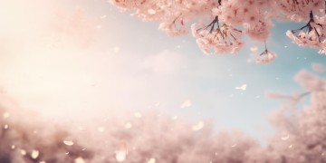 假如我们都很坚决出自哪首歌?