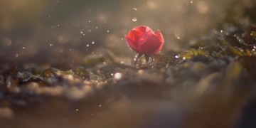 思念穿透心扉到底是哪首歌?