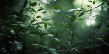 曾经最难过的事这句歌词出自哪首歌？